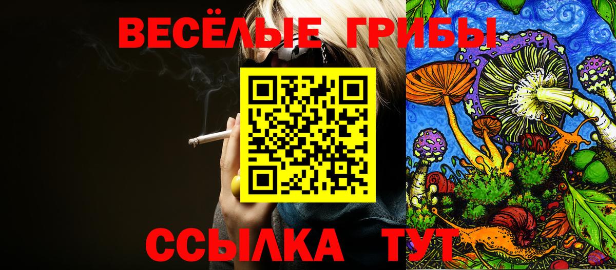 Галлюциногенные грибы ЛСД Чистополь