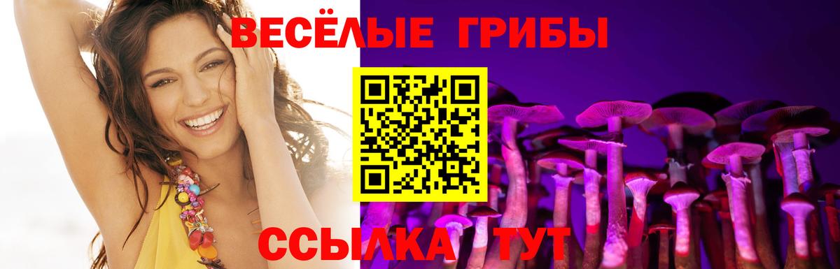 Чистополь  Псилоцибиновые грибы мицелий  Вход с VPN 